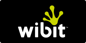 Wibit